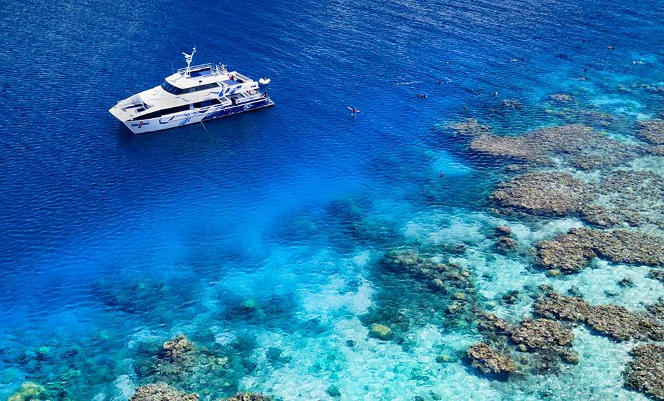 AquaQuest Premium Snorkel Day Trip Great Barrier Reef Day Trip Departing Cairns Epic deals